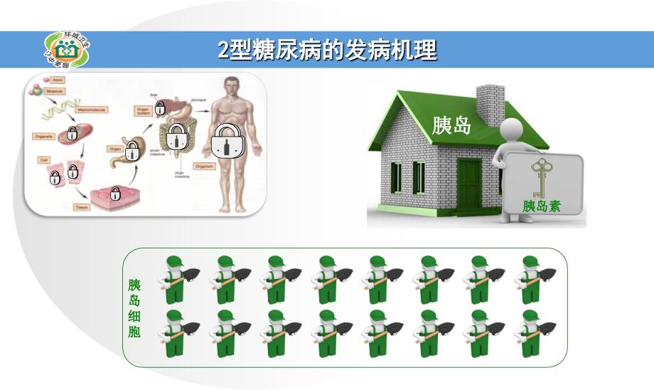 糖尿病的常用药物_第4页