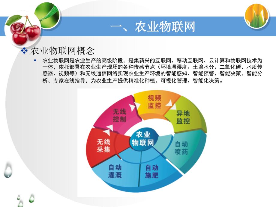 农业物联网系统介绍ppt课件_第3页