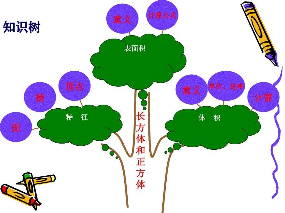 六年级上册数学课件7.4长方体和正方体整理与复习丨苏教版共14张PPT_第5页