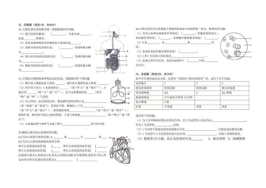 2014年七年级下册生物期中测试题_第2页