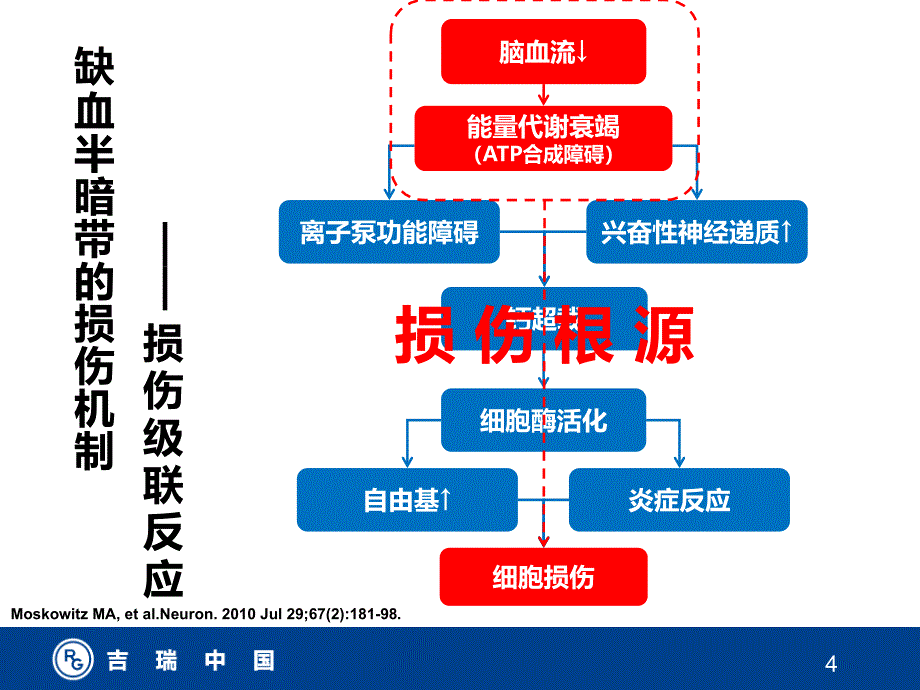 《挽救缺血半暗带》PPT课件_第4页