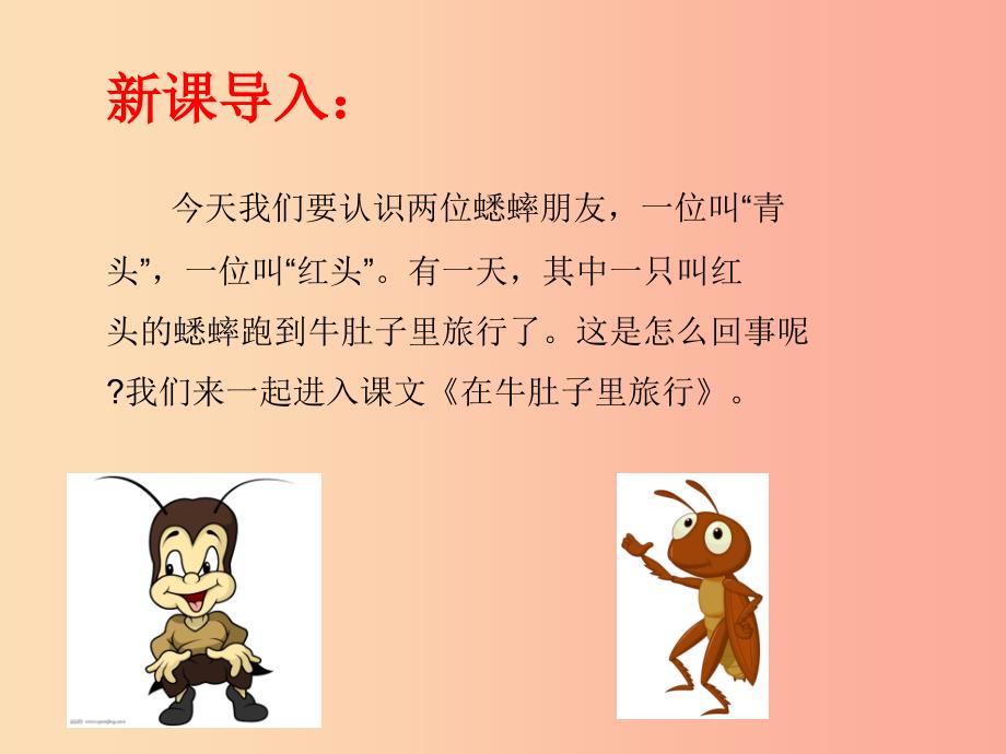 三年级语文上册 第三单元 10《在牛肚子里旅行》课件1 新人教版.ppt_第4页