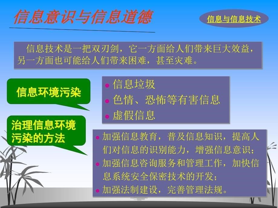 信息与信息技术_第5页