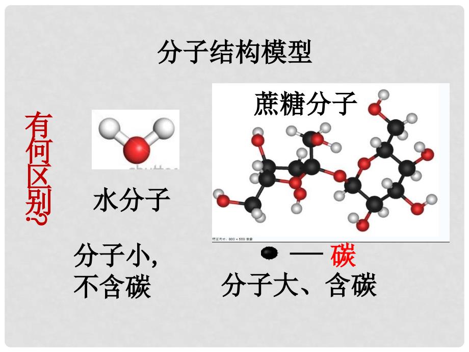 七年级生物上册 2.1.4 细胞的生活课件 （新版）新人教版_第4页