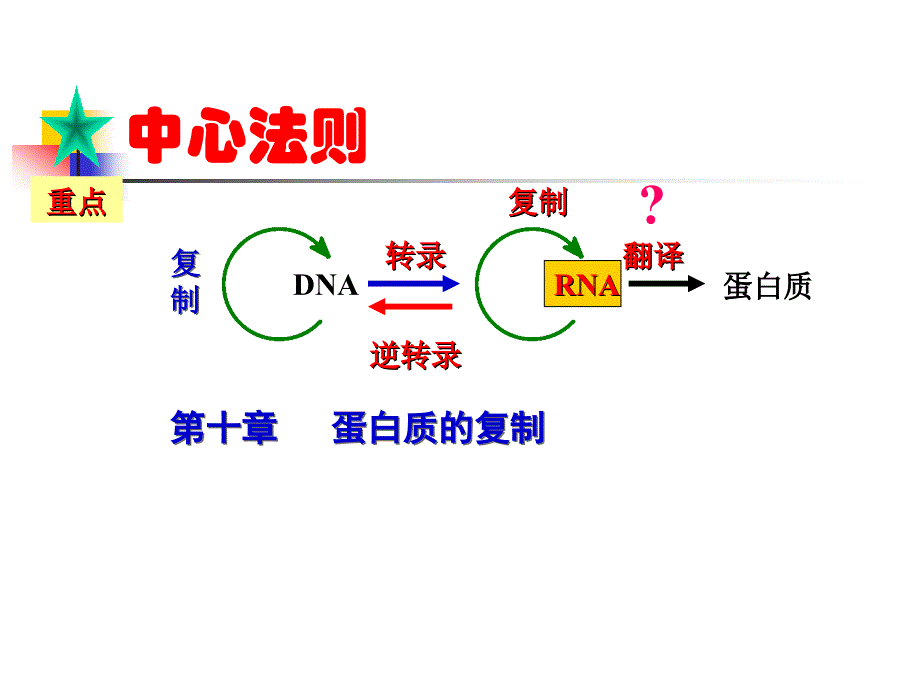 DNA的生物合成精品PPT1课件_第2页