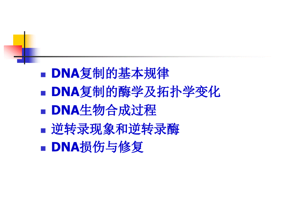 DNA的生物合成精品PPT1课件_第3页