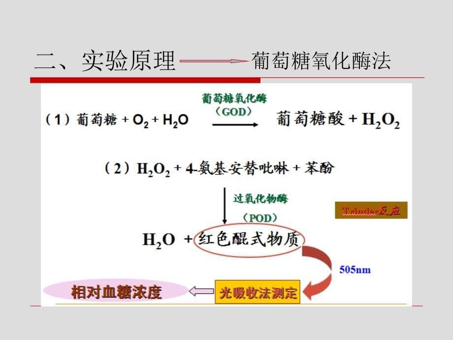 实验五激素对血糖浓度的影响文档资料_第5页