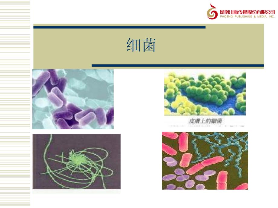 水滴里的生物教学课件1_第1页