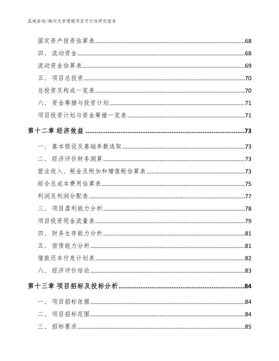 梅州光学透镜项目可行性研究报告模板_第5页