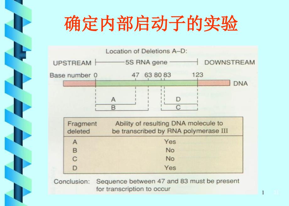 细胞学第6章B_第1页