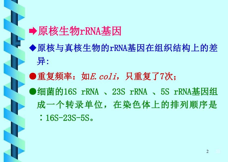 细胞学第6章B_第2页