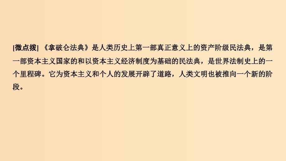 （浙江专用）2018-2019学年高中历史 第三单元 欧美资产阶级革命时代的杰出人物 第3课时 一代雄狮拿破仑课件 新人教版选修4.ppt_第5页