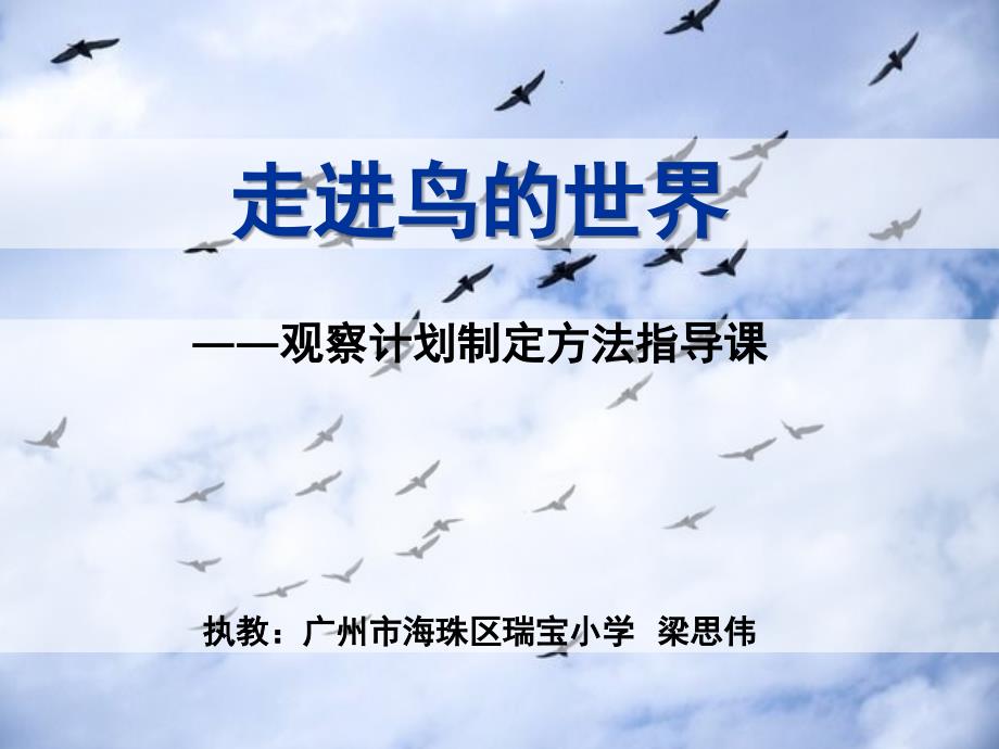 《走进鸟的世界——观察计划制定方法指导课》教学课件_第1页