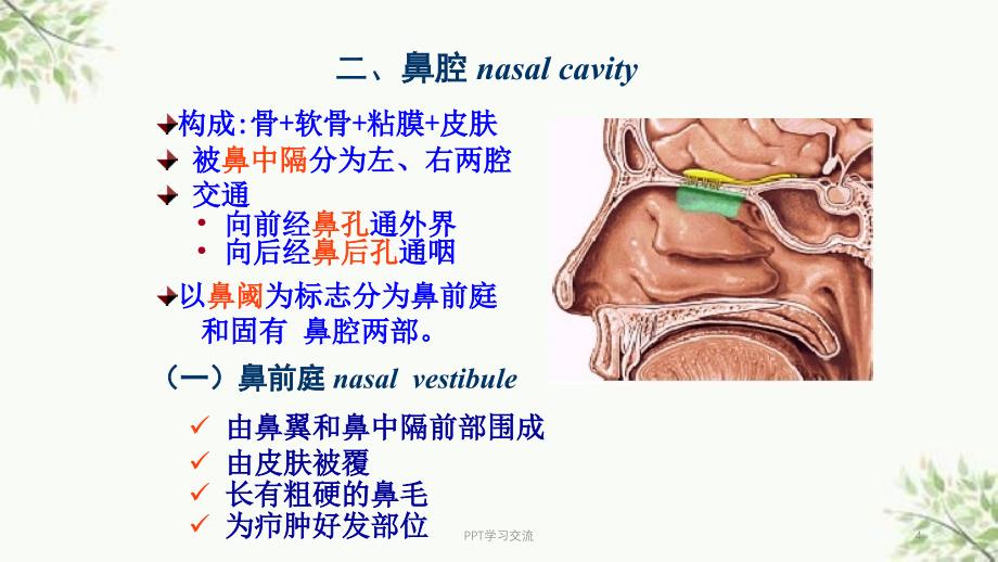 级呼吸系统ppt课件_第4页