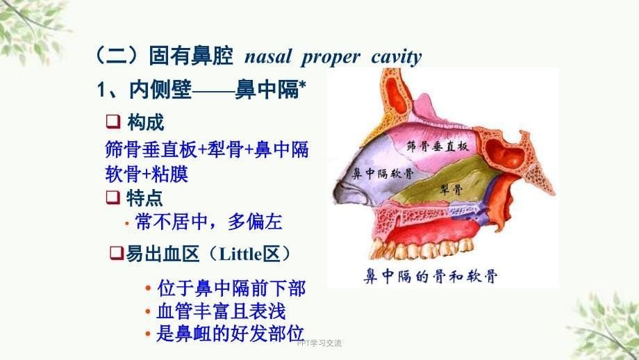 级呼吸系统ppt课件_第5页