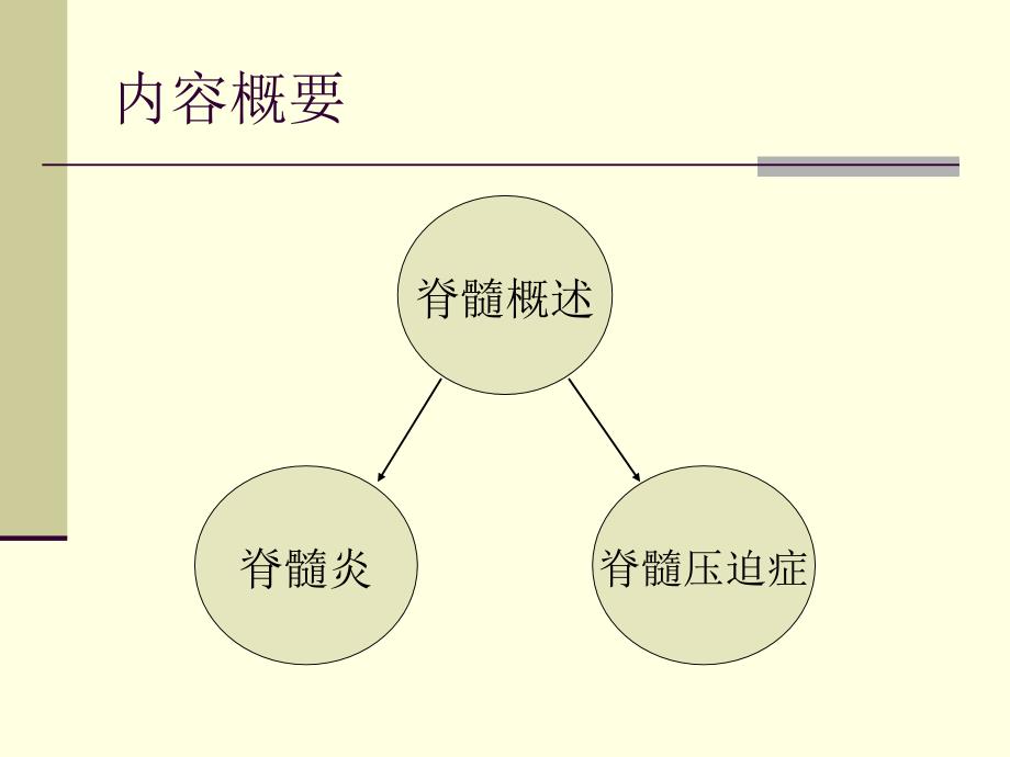 脊髓疾病ppt课件【精品课件】_第2页