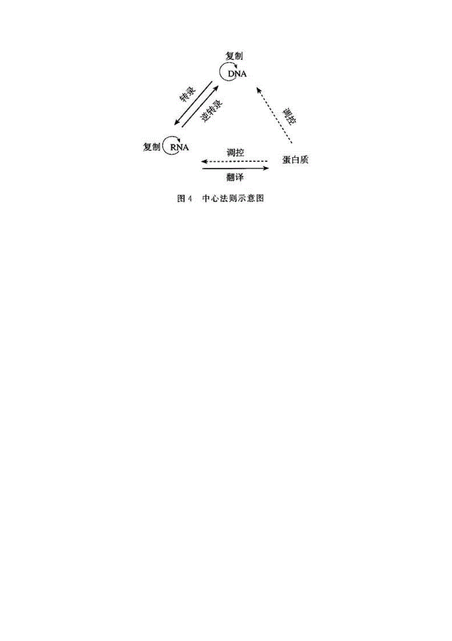 基因控制性状的机理_第2页