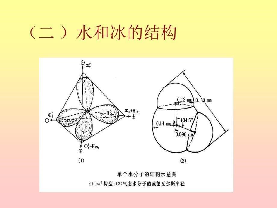 第1部分水和矿物质水Water_第5页