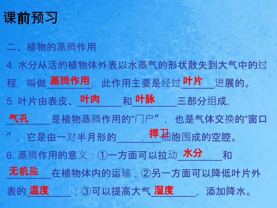 人教版七年级生物上册第三章绿色植物与生物圈的水循环ppt课件_第4页