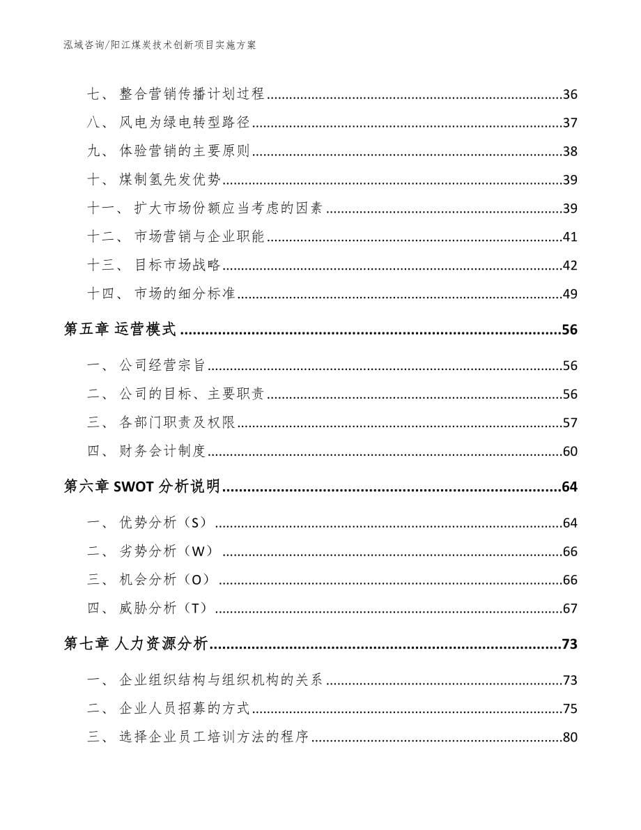 阳江煤炭技术创新项目实施方案【模板范本】_第5页