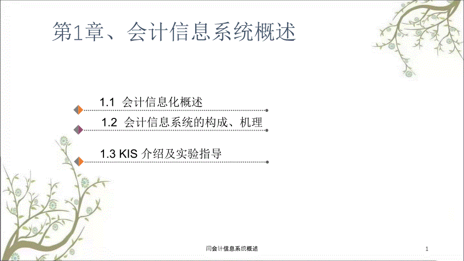 闫会计信息系统概述课件_第1页