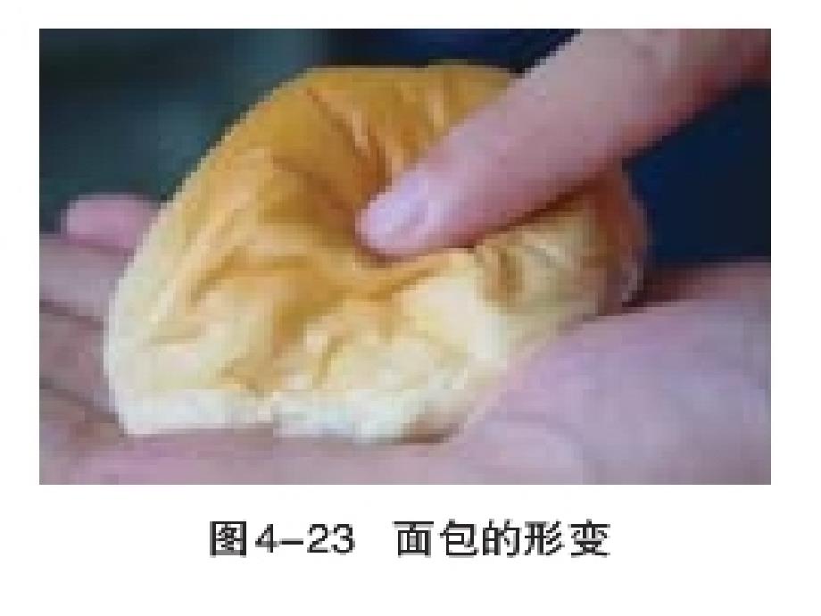 物理22重力课件教科版必修一_第2页