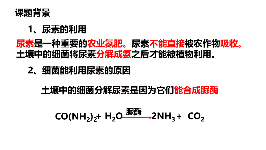 土壤中分解尿素的细菌的分离与计数(公开课).ppt_第2页