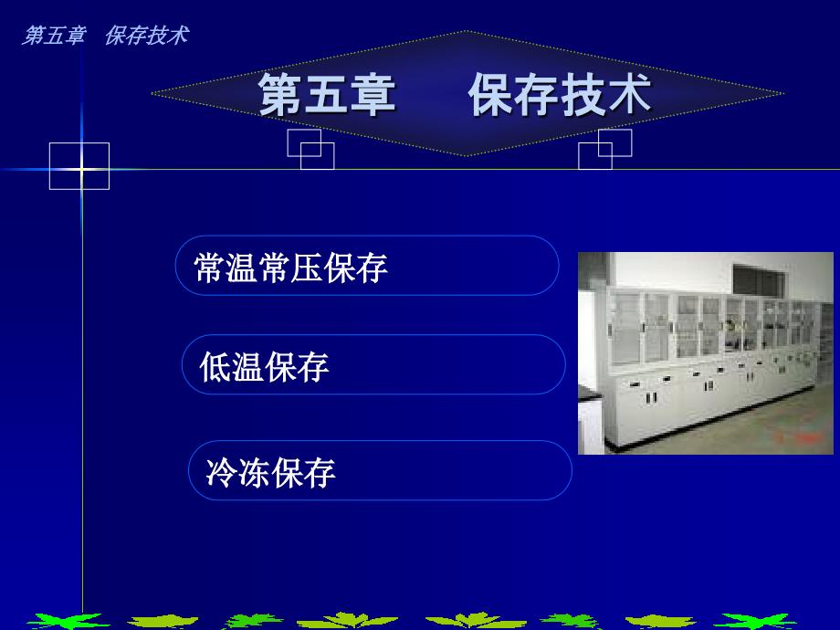 保存技术PPT课件_第2页