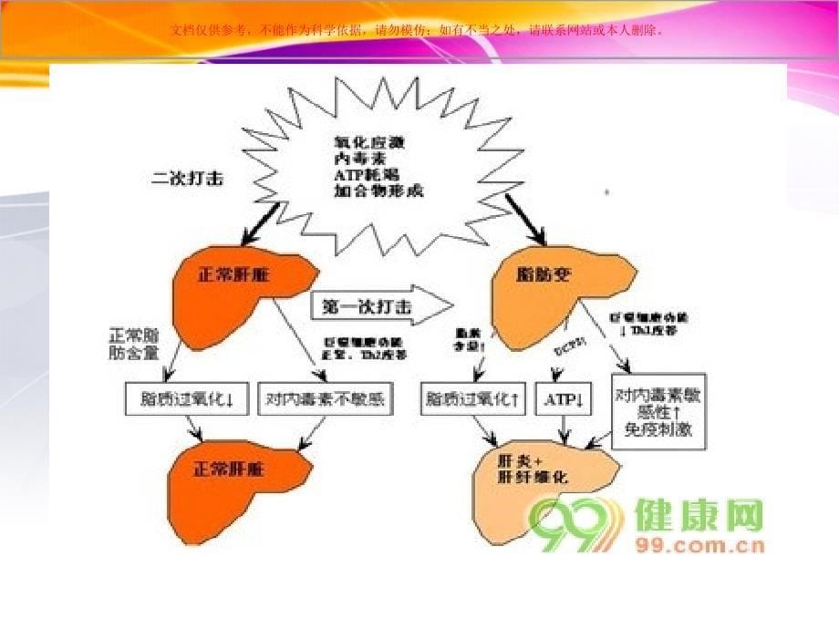 对化学性肝损伤有辅助保护作用的保健品培训课件_第5页