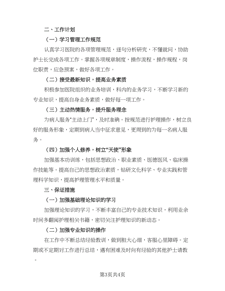 2023年护理年度工作计划样本（二篇）.doc_第3页