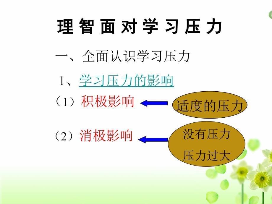 理智面对学习的压力(课题研讨课)_第5页