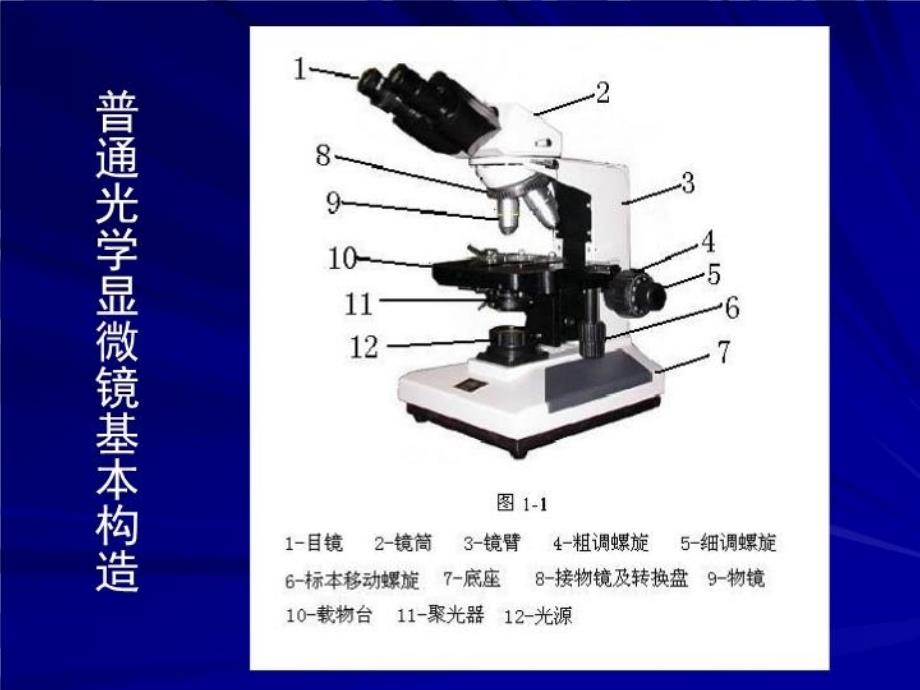 最新实验一普通光学显微镜的使用及细菌形态的观察PPT课件_第4页