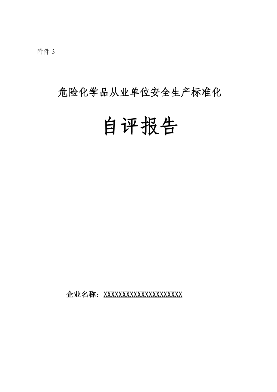 安全生产标准化年度自评报告优质资料_第2页