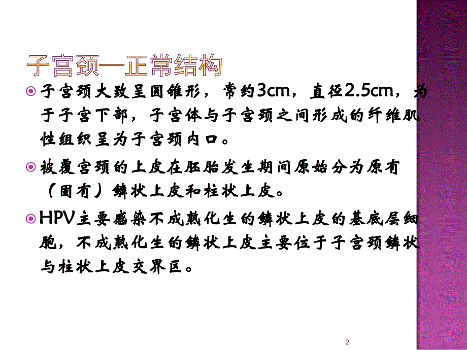 妇科标本诊断ppt课件_第2页