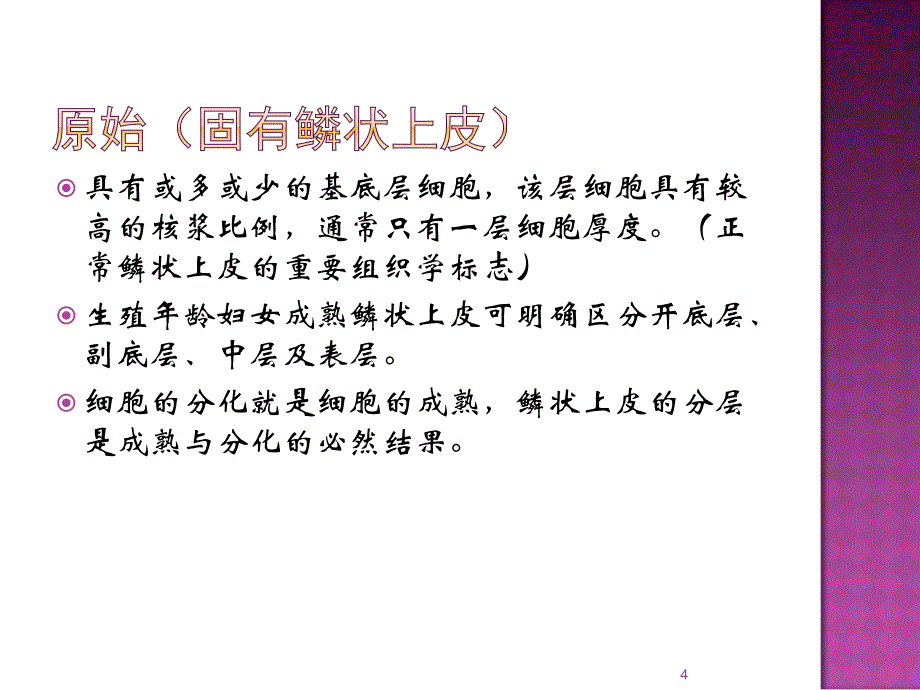 妇科标本诊断ppt课件_第4页