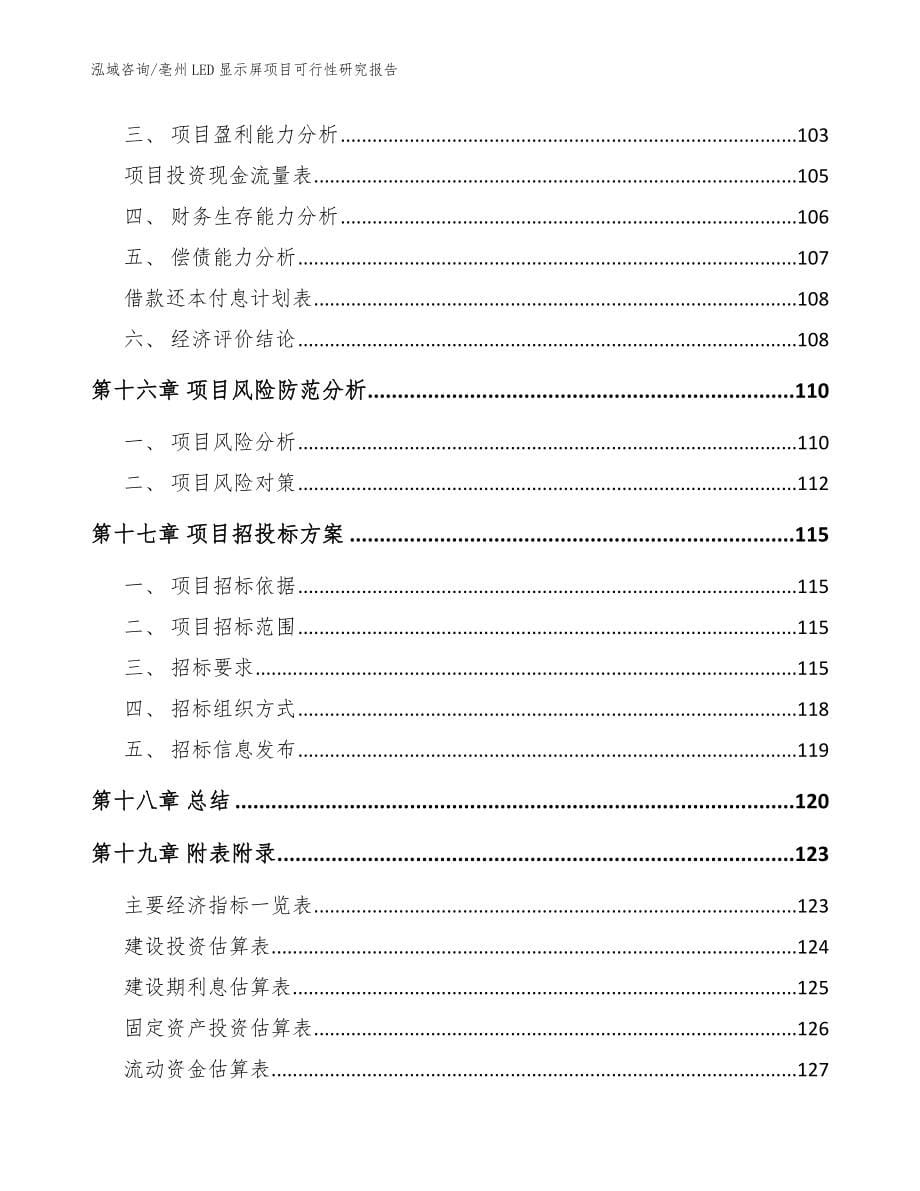 亳州LED显示屏项目可行性研究报告参考范文_第5页