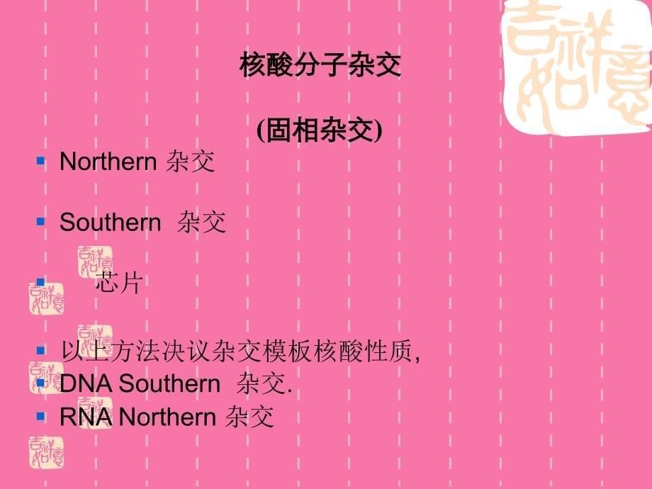 基因探针ppt课件_第5页