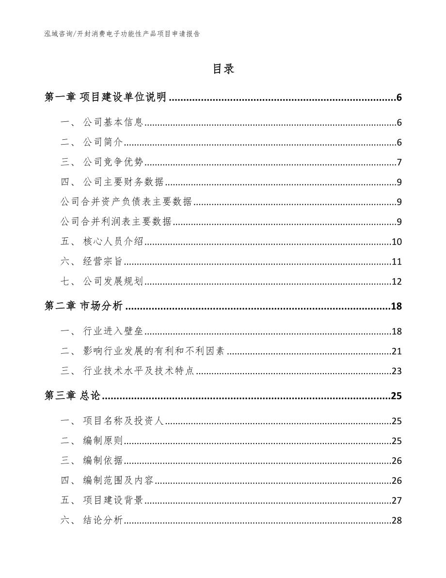 开封消费电子功能性产品项目申请报告_模板参考_第1页