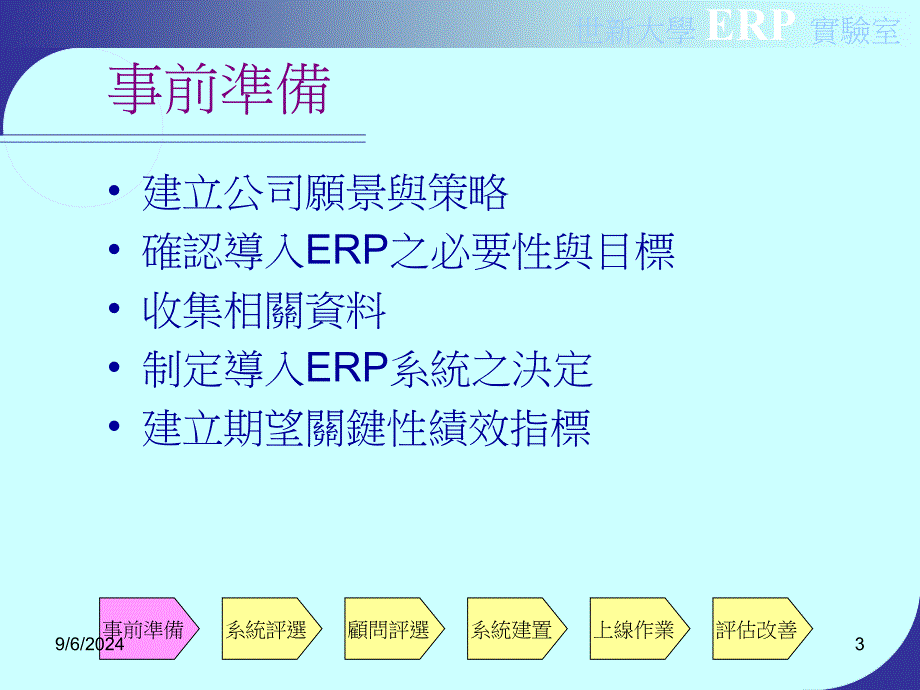 企业资源规划ERP系统导入_第3页