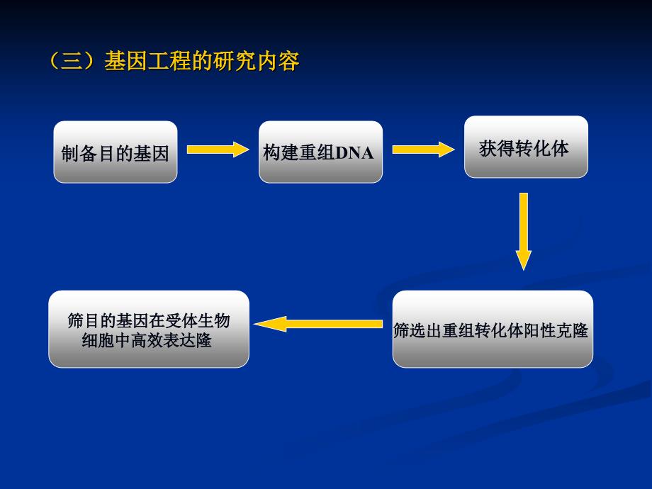 二章基因工程及其在食品科学中的应用_第3页