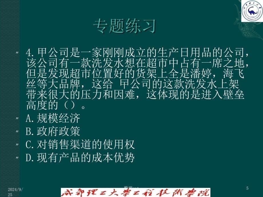 公司战略与风险管理期末专题练习_第5页