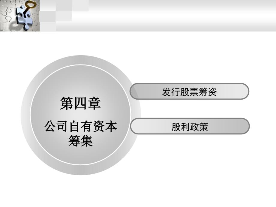 公司自有资本筹集.ppt_第1页