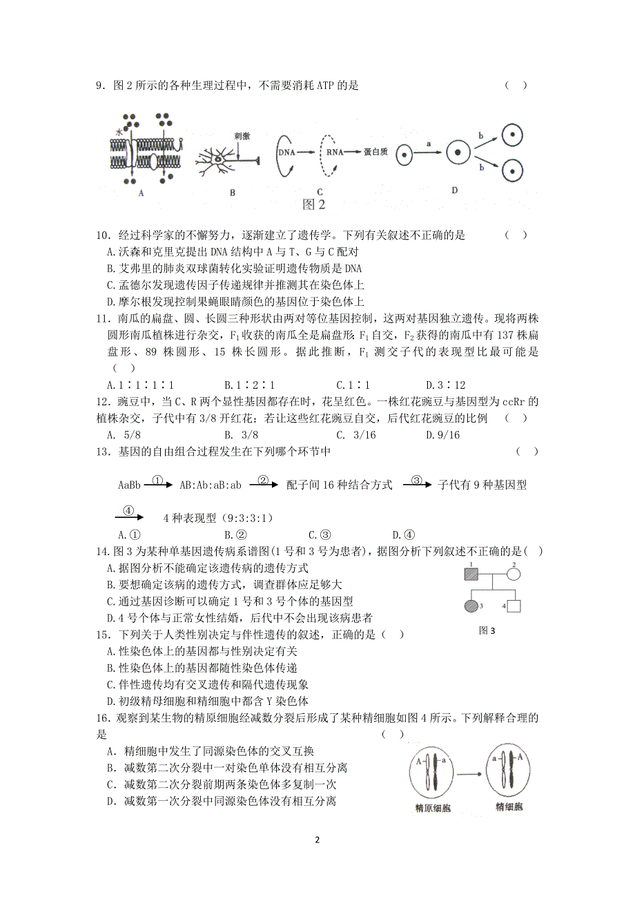 海淀期末生物_第2页