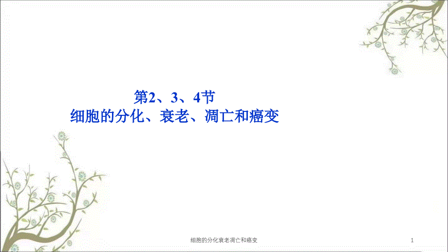 细胞的分化衰老凋亡和癌变课件_第1页