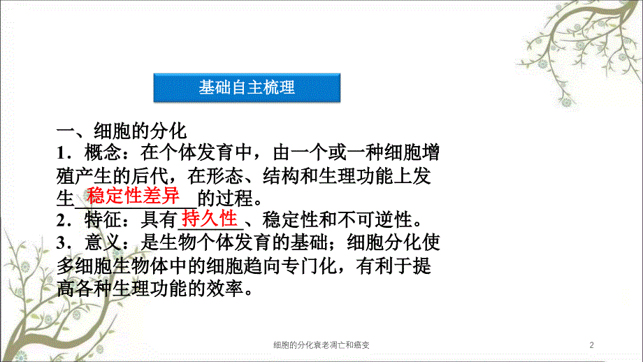 细胞的分化衰老凋亡和癌变课件_第2页