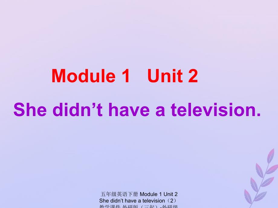 最新五年级英语下册Module1Unit2Shedidnthaveatelevision2教学课件_第1页