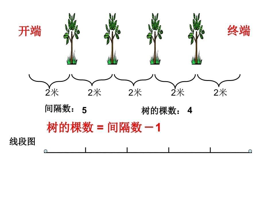 植树问题第二课时课件_第5页