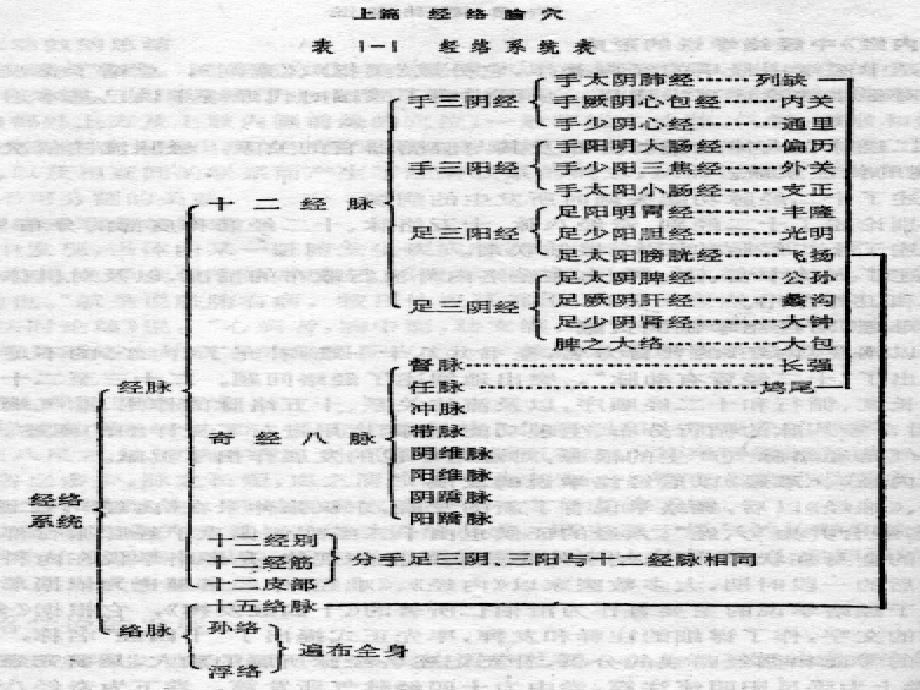 护理常用腧穴ppt课件_第4页