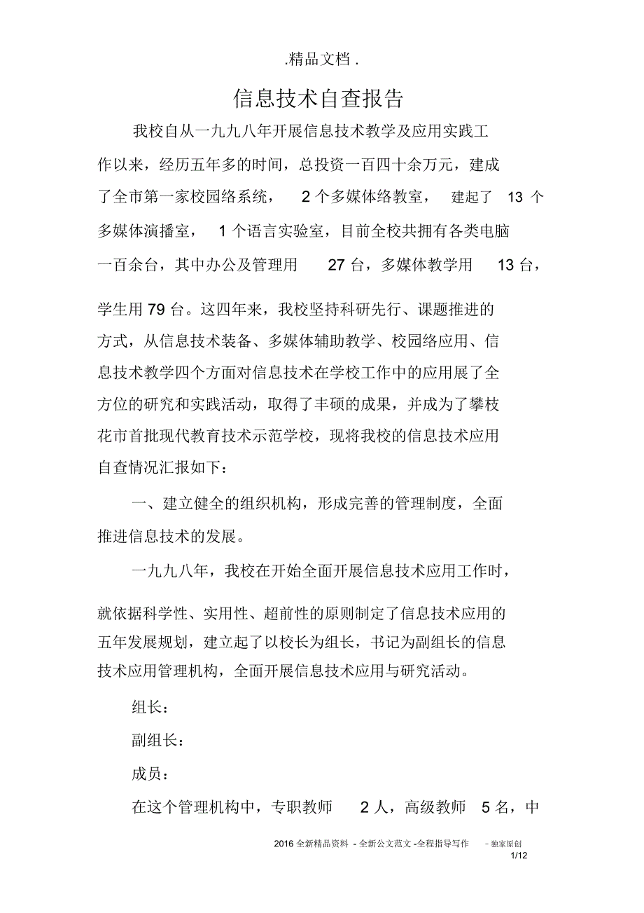 信息技术自查报告_第1页