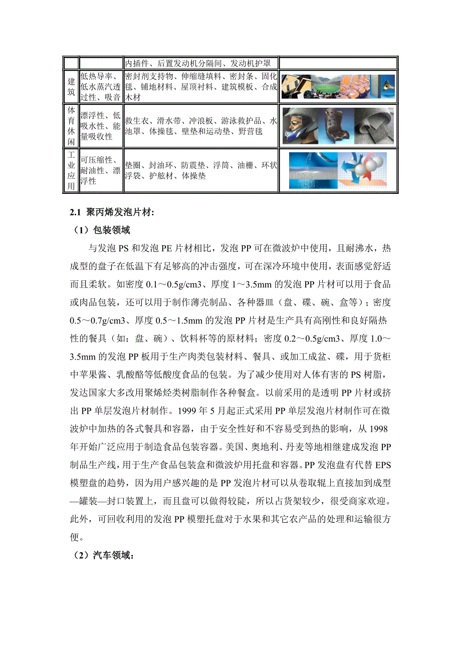 发泡聚丙烯项目可行性报告_第3页